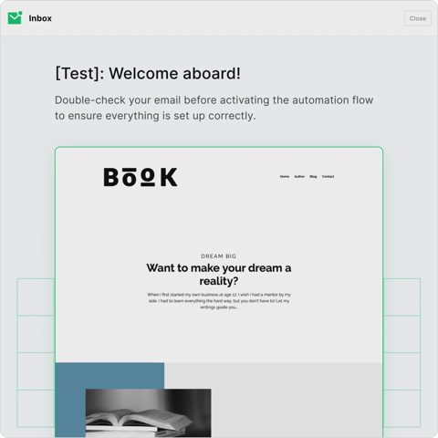 MailerLite screenshot: Test email preview before activating