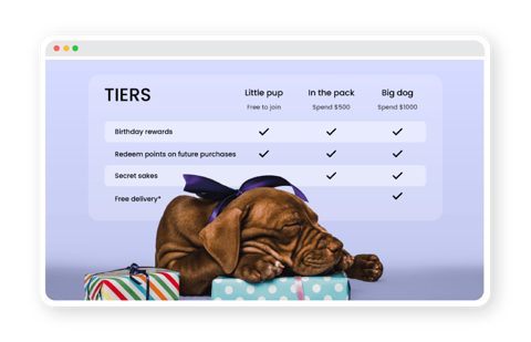 LoyaltyLion screenshot: VIP tier benefits table