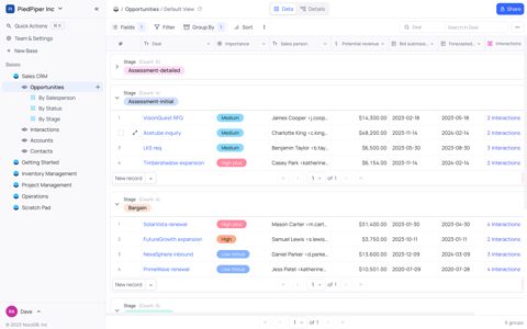 NocoDB screenshot: Grouped grid view of opportunities