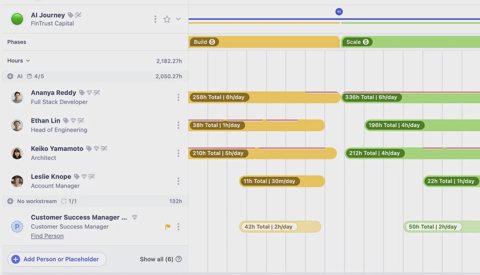 Runn screenshot: Project timeline by person