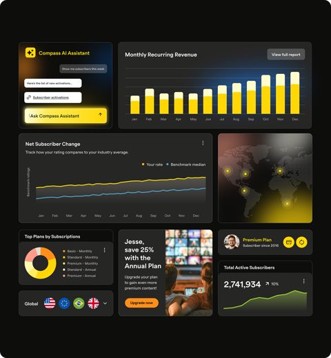 Recurly screenshot: Revenue analytics dashboard