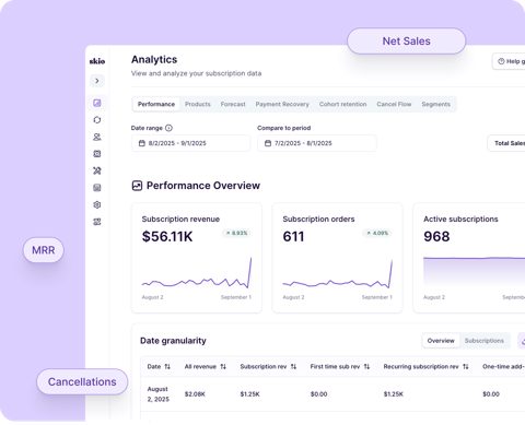 Skio screenshot: Subscription analytics dashboard