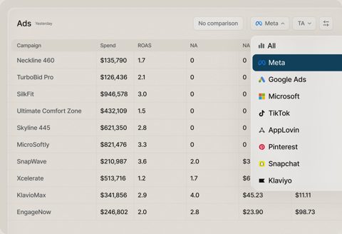 Triple Whale screenshot: Ads performance table by campaign