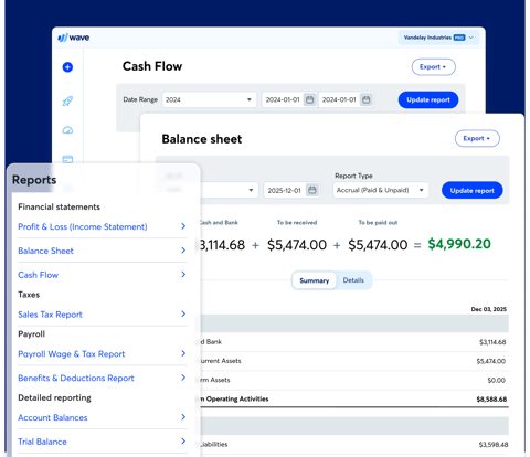 Wave screenshot: Reports menu with cash flow and balance sheet