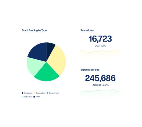 Adaptive Planning screenshot: Grant funding and procedures dashboard