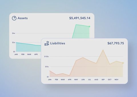 Digits screenshot: Assets and liabilities charts