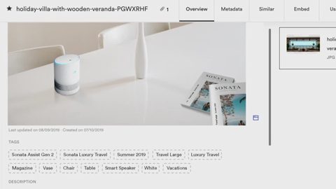 Brandfolder screenshot: Asset detail page with tags and metadata