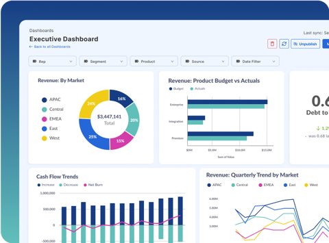 Cube screenshot: Executive dashboard with charts