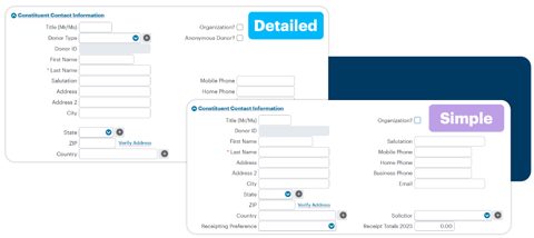 DonorPerfect screenshot: Custom fields on constituent record
