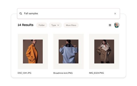 Dropbox screenshot: Search results