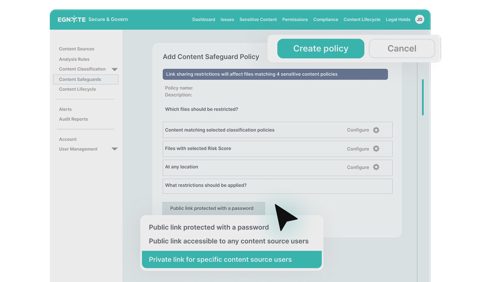 Egnyte screenshot: Content safeguard policy settings