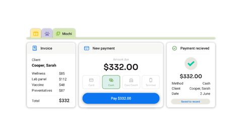 ezyVet screenshot: Invoice and payment screens